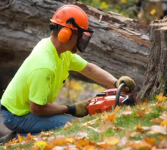 tree services South Range